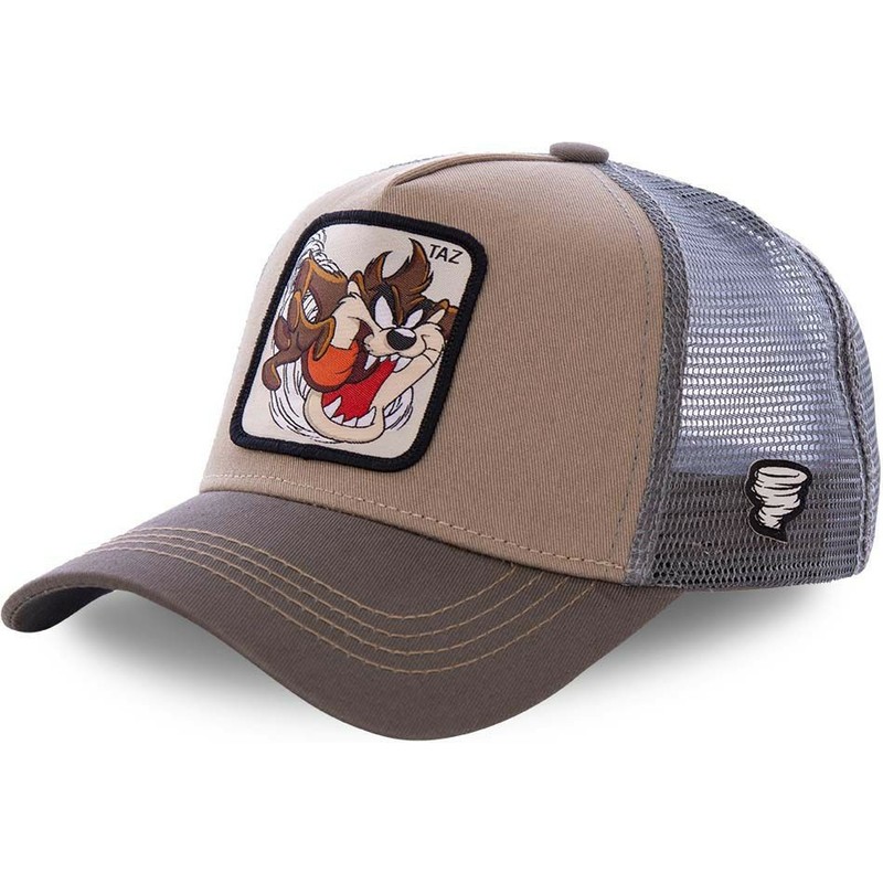 Capslab Tasmanian Devil TAZ3 Looney Tunes Brown Trucker Hat: Caphunters ...
