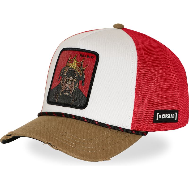 capslab-big-boy-hip-bigb-hip-hop-dogz-multicolor-trucker-hat