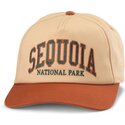 american-needle-curved-brim-roscoe-sequoia-national-park-brown-snapback-cap