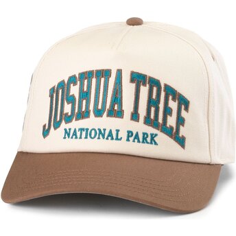 American Needle Curved Brim Roscoe Joshua Tree National Park Brown Snapback Cap